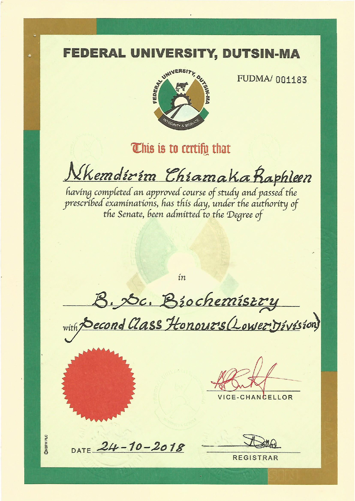 Document Page 1